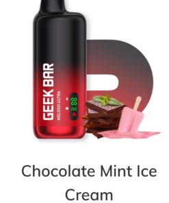 Chocolate Mint Ice Cream Meloso Ultra