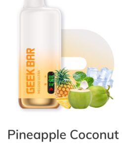 Pineapple Coconut Ice Meloso